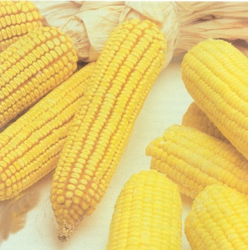 sale de alimento y entra como combustible